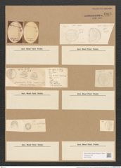 Campylodiscus thuretii Breb. (de-Toni-Nr.: Genus 57, Species 2482) Zeichnungen Sammlung Grunow Nr. 4983 (NHMW-BOT-W0373222)